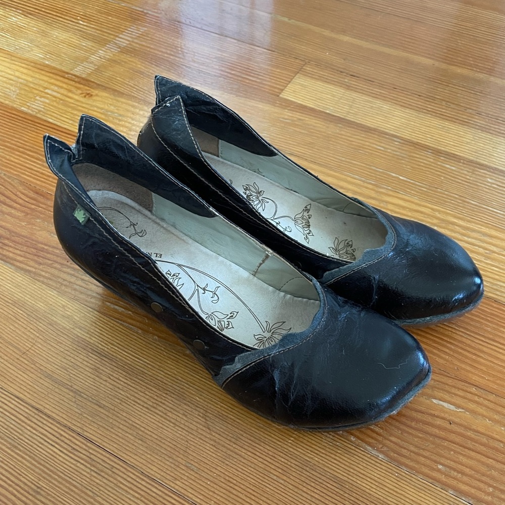 El naturalista wedges